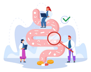 digestive health illustration
