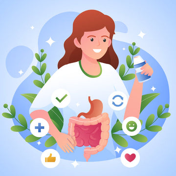 good digestive health illustration