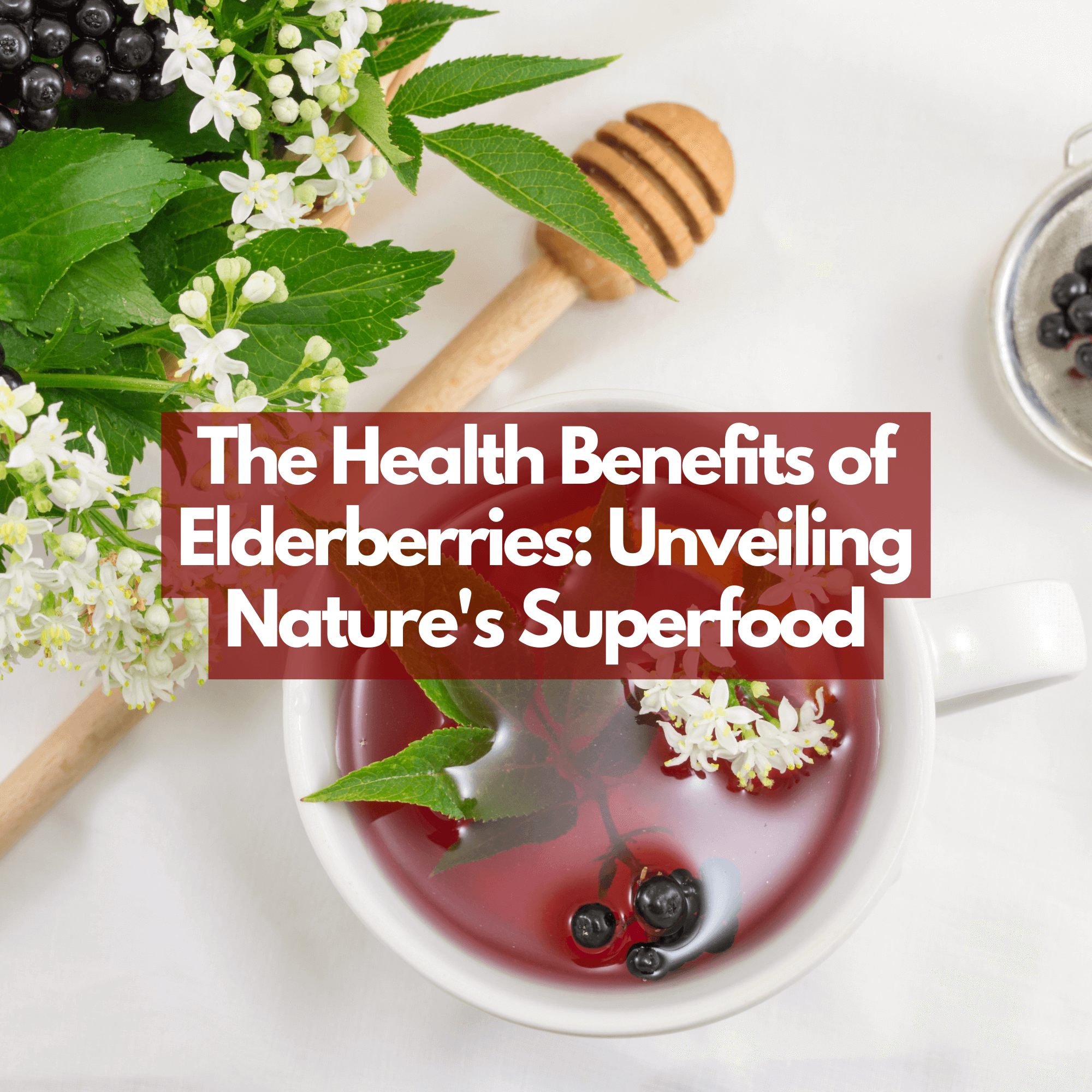 The Wonderful Health Benefits and Uses of Elderberry (the "Medicine Chest")