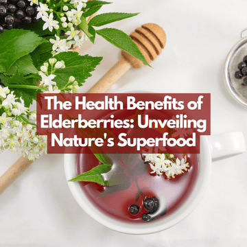 The Wonderful Health Benefits and Uses of Elderberry (the "Medicine Chest")
